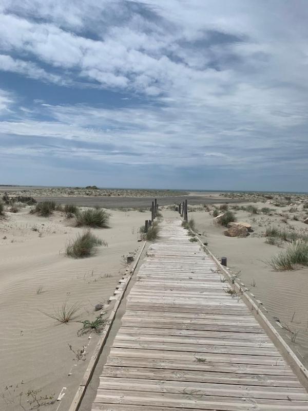 "La Pradeto" Gite Rural Camargue 아흘르 외부 사진